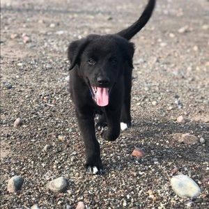 Meet your Posher, Stephen